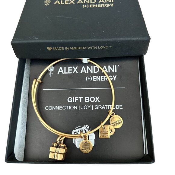 Alex and Ani Charity By Design GIFT BOX Bracelet Rafaelian Gold, New with Box - Picture 1 of 4